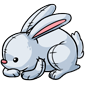 Cuddly Rabbit Plushie