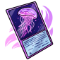 Jellyfish Trading Card