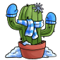 Winter Cactus