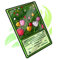 Flowery Field Trading Card